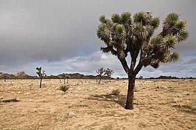 收录超过100款游戏《雅达利50周年庆典》现已上市