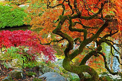 “单人MMO”《Erenshor》开发者：不会添加多人模式